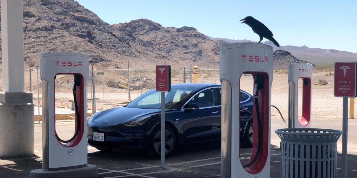 Jaguar's Strategic Partnership with Tesla - Future EV Models to Feature Seamless Charging Integration - Tech News India - Updates - Before You Take