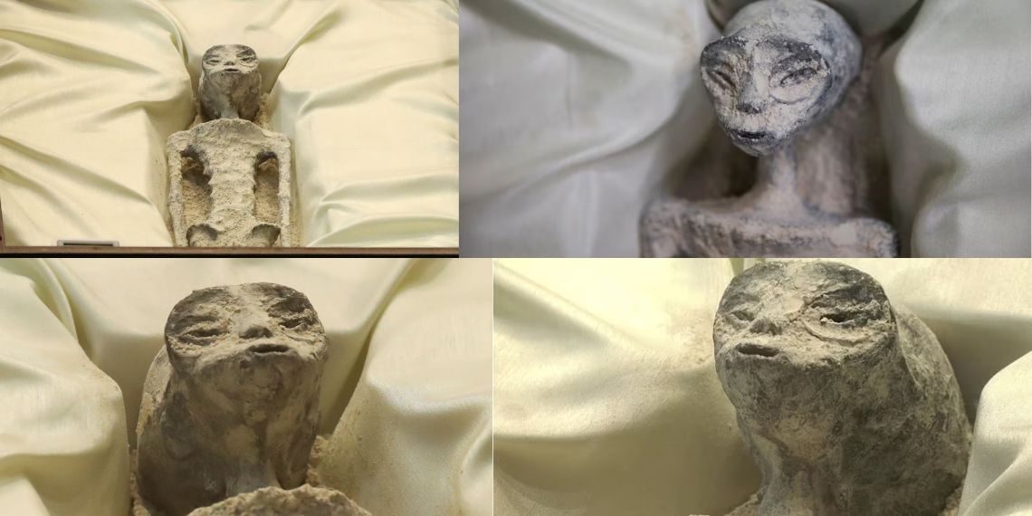 NASA Urges Access to 1,000-Year-Old 'Alien Corpses' Unearthed in Cusco, Peru for Scientific Study - Space News - Updates - Tech India - Before You Take