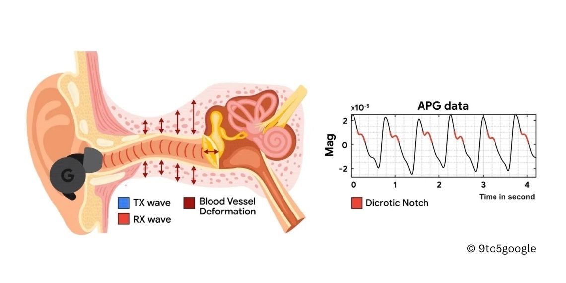Google's Groundbreaking ANC Earbuds Set to Monitor Heart Rate Without Extra Sensors - Tech News - Updates - TWS Earbuds - Before You Take