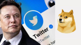 Elon Musk Changes Twitter Logo to Doge Meme, Sparks Controversy