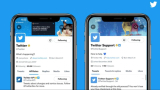 Twitter removes blue ticks for non-paying users starting today: What you need to know